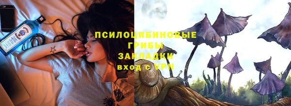 спайс Арсеньев