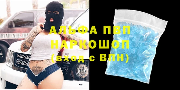 спайс Арсеньев