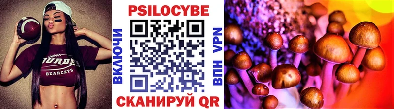 Псилоцибиновые грибы Cubensis Трубчевск